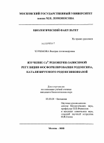 Изучение Ca2+/рековерин-зависимой регуляции фосфорилирования родопсина, катализируемого родопсинкиназой - тема диссертации по биологии, скачайте бесплатно