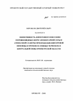 Эффективность допосевного внесения порошковидных форм элементарной серы и аммиачной селитры при возделывании яровой пшеницы и ячменя на южных черноземах центральной зоны Оренбургской области - тема диссертации по сельскому хозяйству, скачайте бесплатно