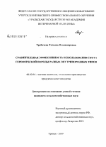 Сравнительная эффективность использования скота герефордской породы разных внутрипородных типов - тема диссертации по сельскому хозяйству, скачайте бесплатно