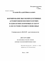 Формирование высокопродуктивных агрофитоценозов многолетних и однолетних кормовых культур в лесостепи Среднего Поволжья - тема диссертации по сельскому хозяйству, скачайте бесплатно