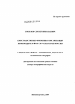 Пространственно-временная организация производительных сил Азиатской России - тема диссертации по наукам о земле, скачайте бесплатно