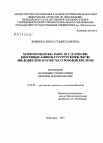 Морфофункциональное исследование биогенных аминов структур кожи после введения препаратов гиалуроновой кислоты - тема диссертации по биологии, скачайте бесплатно