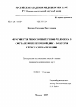 Фрагменты рибосомных генов человека в составе внеклеточной ДНК: факторы стресс-сигнализации - тема диссертации по биологии, скачайте бесплатно