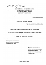 Структурно-функциональная организация подземных побегов клубнеобразующих растений - тема диссертации по биологии, скачайте бесплатно