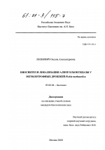 Биосинтез и локализация алкогольоксидазы у метилотрофных дрожжей Pichia methanolica - тема диссертации по биологии, скачайте бесплатно