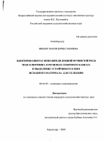 Идентификация рас возбудителя ложной мучнистой росы подсолнечника в регионах Северного Кавказа и выделение устойчивого к ним исходного материала для селекции - тема диссертации по сельскому хозяйству, скачайте бесплатно