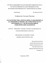 Характеристика пород овец, разводимых в Калмыкии и оценка их генетического потенциала с использованием генетических маркеров - тема диссертации по сельскому хозяйству, скачайте бесплатно