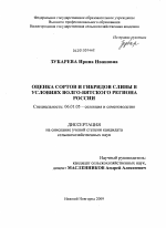 Оценка сортов и гибридов сливы в условиях Волго-Вятского региона России - тема диссертации по сельскому хозяйству, скачайте бесплатно