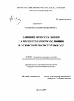 Влияние женских линий на процессы микроэволюции в орловской рысистой породе - тема диссертации по сельскому хозяйству, скачайте бесплатно