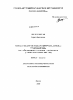 Фауна и экология пчел (Hymenoptera, Apoidea) тундровой зоны бассейна нижнего течения р. Индигирки - тема диссертации по биологии, скачайте бесплатно