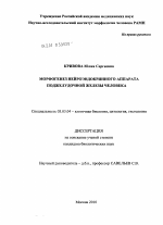 Морфогенез нейроэндокринного аппарата поджелудочной железы человека - тема диссертации по биологии, скачайте бесплатно