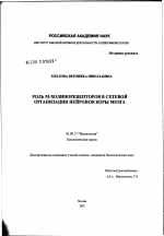 Роль М-холинорецепторов в сетевой организации нейронов коры мозга - тема диссертации по биологии, скачайте бесплатно