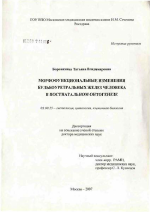 Морфофункциональные изменения бульбоуретральных желез человека в постнатальном онтогенезе - тема диссертации по биологии, скачайте бесплатно