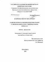 Развитие кровоснабжения скелетных мышц в эмбриональном и постэмбриональном периодах - тема диссертации по биологии, скачайте бесплатно