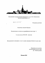 Биологическая активность муравейников Lasius Niger L. - тема диссертации по биологии, скачайте бесплатно