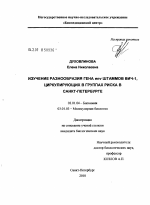 Изучение разнообразия гена env штаммов ВИЧ-1, циркулирующих в группах риска в Санкт-Петербурге - тема диссертации по биологии, скачайте бесплатно