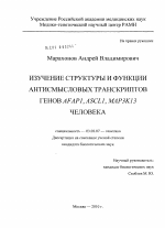 Изучение структуры и функции антисмысловых транскриптов генов AFAP1, ASCL1,MAP3K13 человека - тема диссертации по биологии, скачайте бесплатно