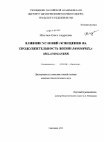 Влияние условий освещения на продолжительность жизни Drosophila melanogaster - тема диссертации по биологии, скачайте бесплатно