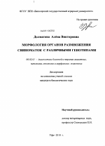 Морфология органов размножения свиноматок с различными генотипами - тема диссертации по сельскому хозяйству, скачайте бесплатно