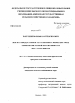 Мясная продуктивность голштино х черно-пестрых бычков при разной интенсивности роста и развития - тема диссертации по сельскому хозяйству, скачайте бесплатно