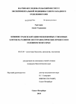 Влияние трансплантации мезенхимных стволовых клеток на развитие посттравматических процессов в головном мозге крыс - тема диссертации по биологии, скачайте бесплатно