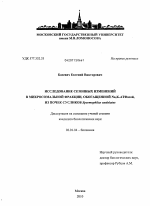 Исследование сезонных изменений в микросомальной фракции, обогащенной Na,K-АТФазой, из почек сусликов Spermophilus undulatus - тема диссертации по биологии, скачайте бесплатно