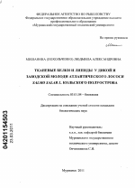 Тканевые белки и липиды у дикой и заводской молоди атлантического лосося Salmo salar L. Кольского полуострова - тема диссертации по биологии, скачайте бесплатно