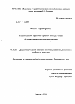 Новообразования наружного слухового прохода у кошек - тема диссертации по сельскому хозяйству, скачайте бесплатно