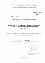 Морфология селезенки у бройлеров кросса "Смена-7" в норме и при применении "Гамавита" - тема диссертации по сельскому хозяйству, скачайте бесплатно