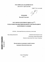 Регулятор клеточного цикла p21wan: роль в онкоген-индуцированной трансформации и клеточном старении - тема диссертации по биологии, скачайте бесплатно