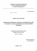 Исследование транскрипции и природного полиморфизма гена Lim3, участвующего в контроле продолжительности жизни Drosophila melanogaster - тема диссертации по биологии, скачайте бесплатно