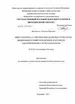 Вирус гепатита A: генетические особенности изолятов, выявленных в Сибирском регионе, и штаммов, адаптированных к культурам клеток - тема диссертации по биологии, скачайте бесплатно