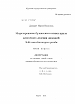 Моделирование булевскими сетями цикла клеточного деления Schizosaccharomyces pombe - тема диссертации по биологии, скачайте бесплатно