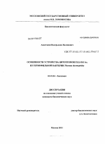 Особенности устройства цитохромоксидазы ba3 из термофильной бактерии Thermus thermophilus - тема диссертации по биологии, скачайте бесплатно