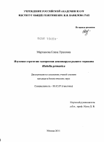 Изучение стратегии экспрессии денсовируса рыжего таракана Blattella germanica - тема диссертации по биологии, скачайте бесплатно