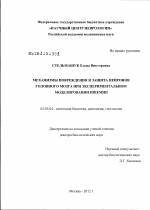 Механизмы повреждения и защита нейронов головного мозга при экспериментальном моделировании ишемии - тема диссертации по биологии, скачайте бесплатно