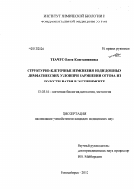 Структурно-клеточные изменения подвздошных лимфатических узлов при нарушении оттока из полости матки в эксперименте - тема диссертации по биологии, скачайте бесплатно