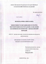 Эффективность выращивания и откорма чистопородных волгоградских, кавказских баранчиков и их помесей с эдильбаевской породой - тема диссертации по сельскому хозяйству, скачайте бесплатно