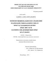 Морфофункциональное исследование взаимодействия вазопрессина и простагландинов в почке крыс Вистар и вазопрессин-дефицитных крыс Браттлборо - тема диссертации по биологии, скачайте бесплатно