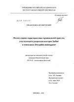 Молекулярная характеристика герминальной гранулы, участвующей в репрессии повторов Stellate в семенниках Drosophila melanogaster - тема диссертации по биологии, скачайте бесплатно