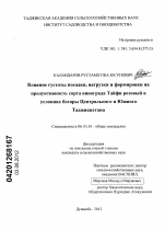 Влияние густоты посадки, нагрузки и формировки на продуктивность сорта винограда Тайфи розовый в условиях богары Центрального и Южного Таджикистана - тема диссертации по сельскому хозяйству, скачайте бесплатно