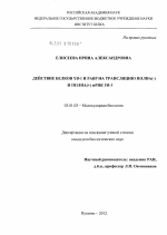 Действие белков YB-1 и РАВР на трансляцию полиа(-) и полиа(+)мРНК YB-1 - тема диссертации по биологии, скачайте бесплатно