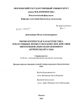 Морфологическая характеристика репаративных процессов в коже при действии митохондриально-направленного антиоксиданта SkQ1 - тема диссертации по биологии, скачайте бесплатно