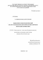 Выявление и филогенетический анализ геномов возбудителей болезни Найроби и лихорадки долины Рифт - тема диссертации по биологии, скачайте бесплатно