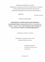 Изменчиовсть морфологических признаков мелколепестника канадского (Conyza canadensis (L.) Cronq. asteraceae) в синантропных популяциях на юго-западе Среднерусской возвышенности - тема диссертации по биологии, скачайте бесплатно