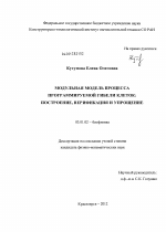 Модульная модель процесса программируемой гибели клеток - тема диссертации по биологии, скачайте бесплатно