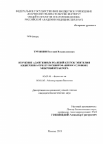 Изучение адаптивных реакций клеток эпителия кишечника при культивировании в условиях микробиореактора - тема диссертации по биологии, скачайте бесплатно