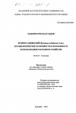 Ясенец таджикский (Dictamnus tadshikorum Vved. ), его биологические особенности и возможность использования в народном хозяйстве - тема диссертации по биологии, скачайте бесплатно