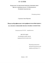 Новые нейтрофильные литотрофные железобактерии и их участие в окислении железа в водных экосистемах - тема диссертации по биологии, скачайте бесплатно