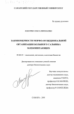 Закономерности морфо-функциональной организации большого сальника млекопитающих - тема диссертации по биологии, скачайте бесплатно